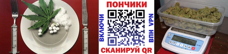дарнет шоп  Нахабино  Canna-Cookies конопля 